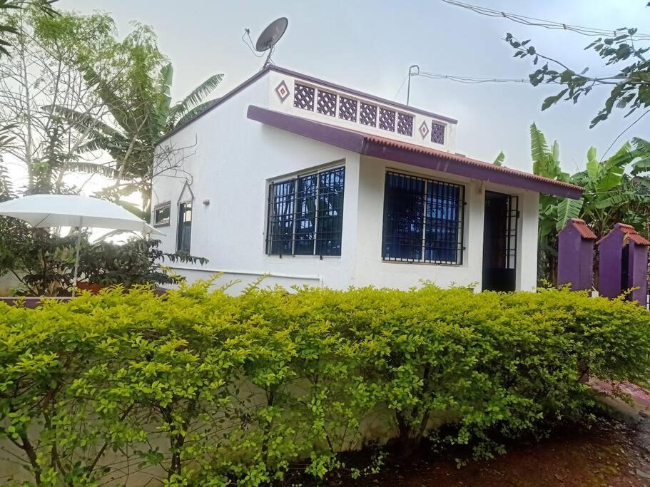 Photo of Others in Yelagiri