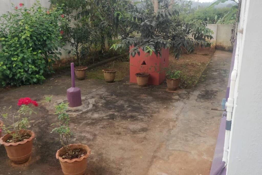 Photo of Others in Yelagiri