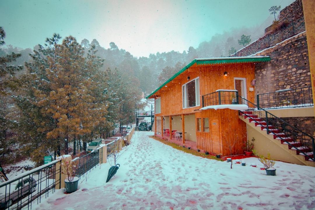Photo of Others in Kaul