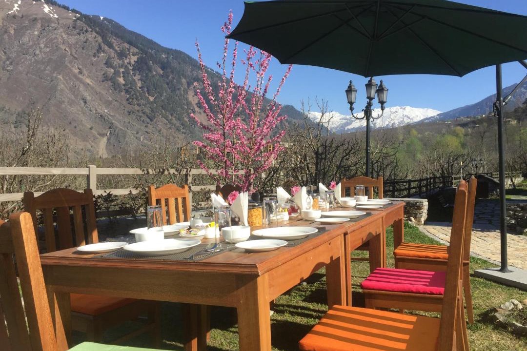 Photo of Others in Manali