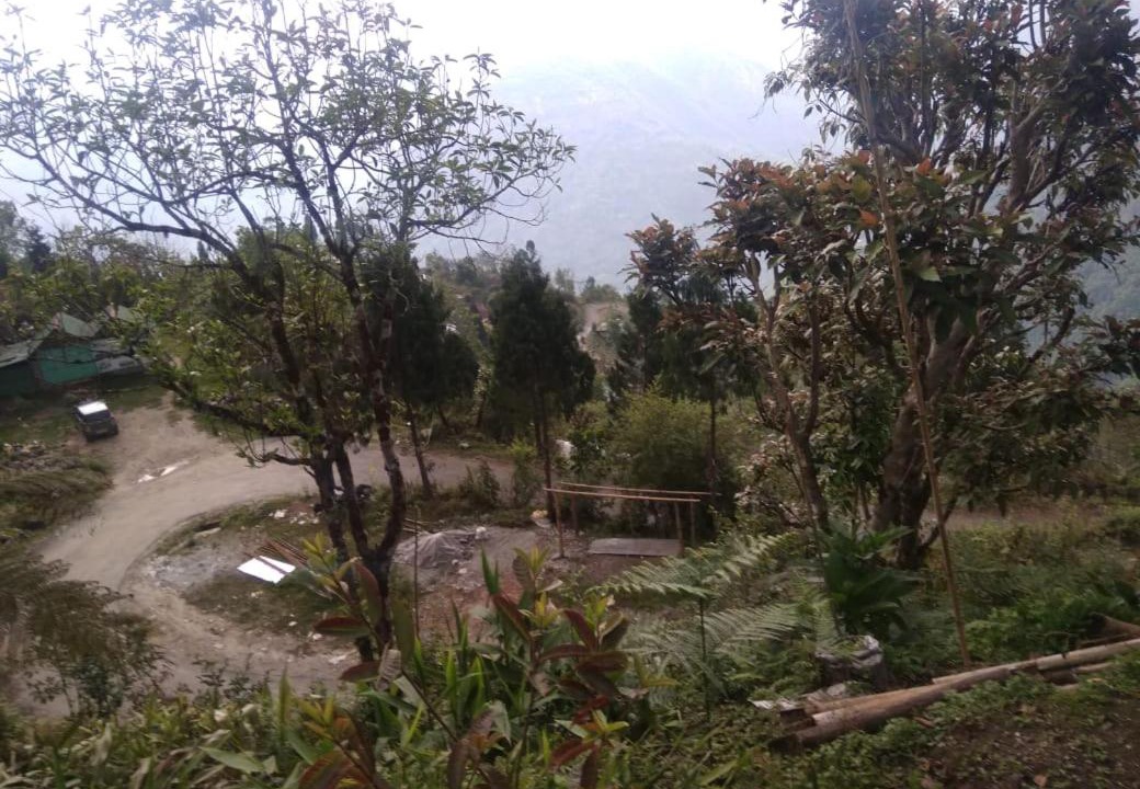 Photo of Others in Aritar
