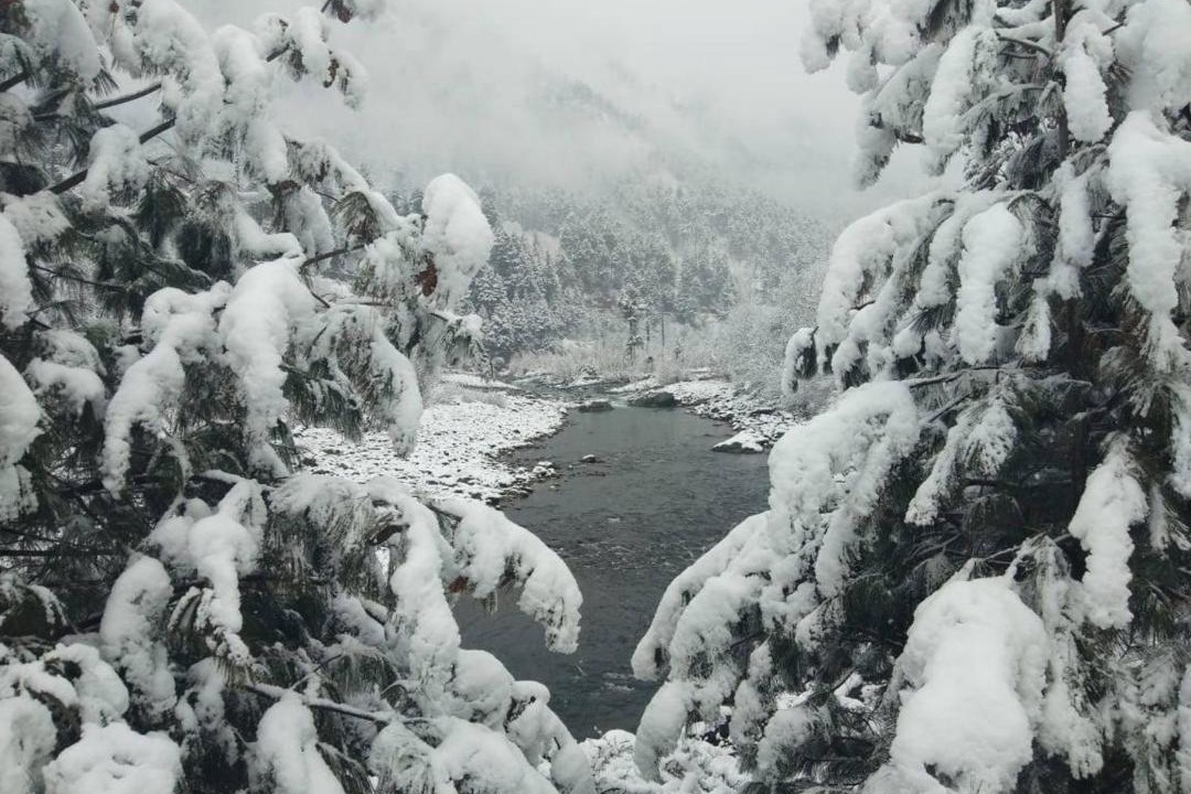 Photo of Others in Pahalgam