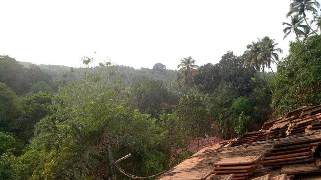 Photo of Others in Agonda