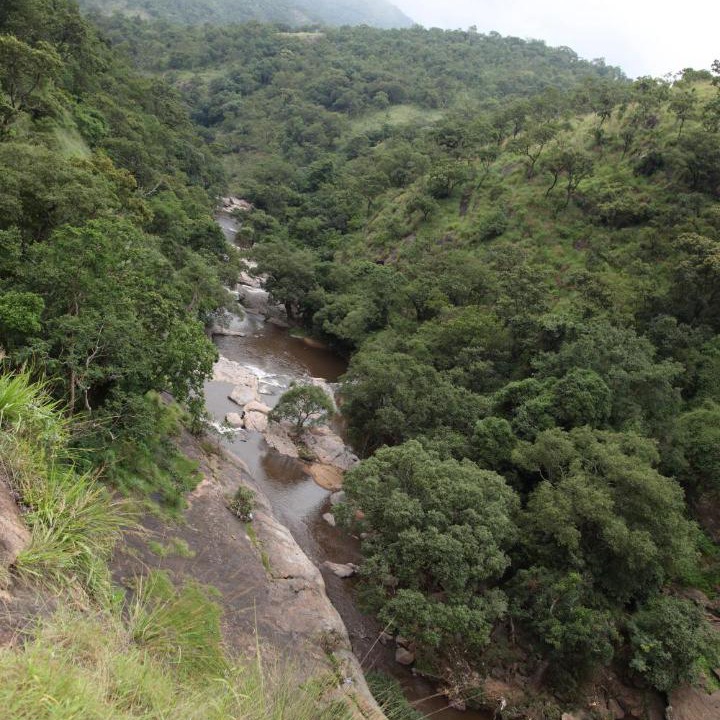 Photo of Others in Kodaikanal
