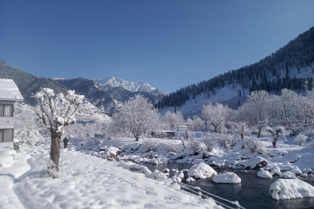 Photo of Others in Laripora