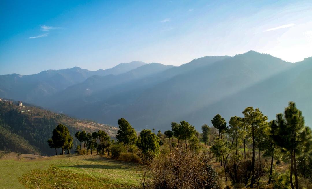 Photo of Others in Shimla