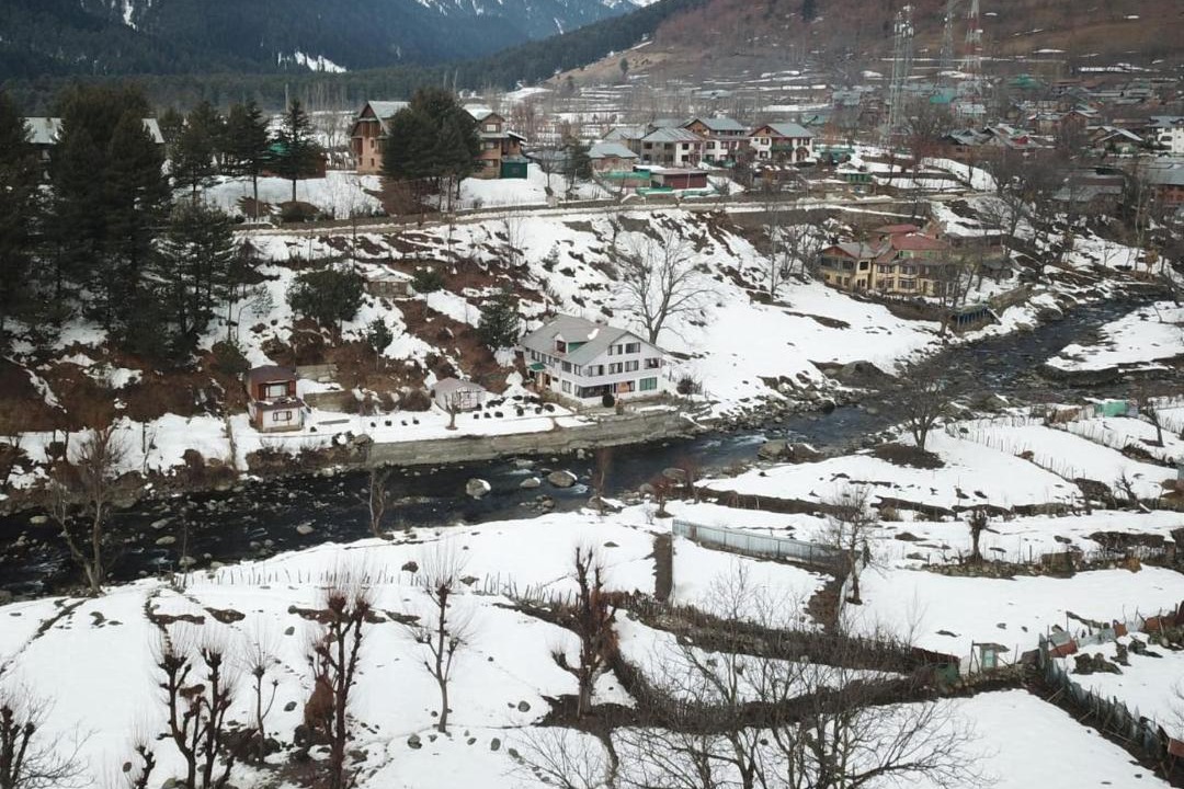 Photo of Others in Laripora