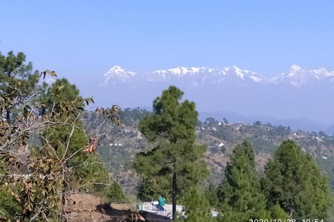 Photo of Others in Almora