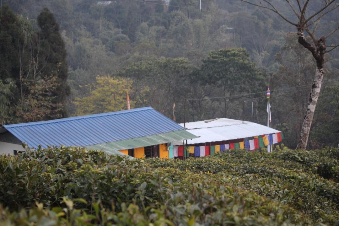 Photo of Others in Kurseong