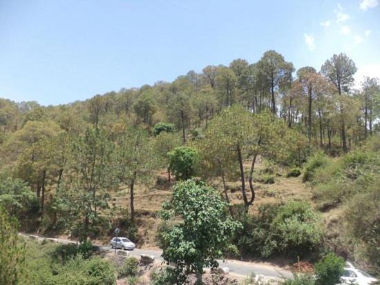 Photo of Outdoor in Kandaghat