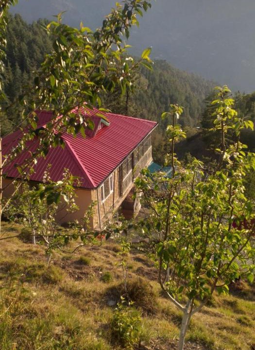 Photo of Others in Shimla