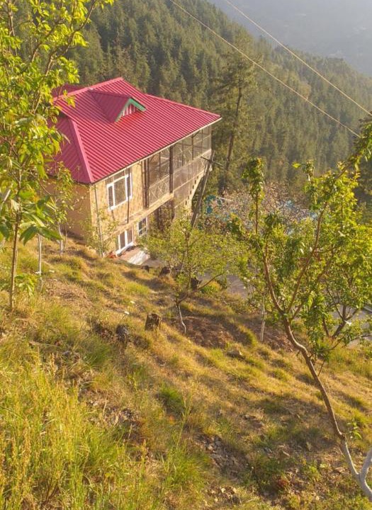 Photo of Others in Shimla