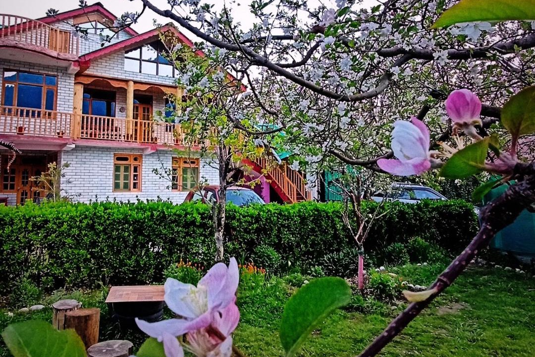 Photo of Buildings in Manali