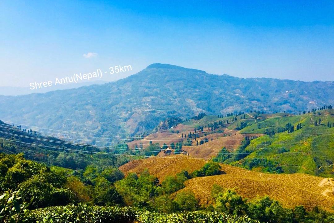 Photo of Others in Kurseong
