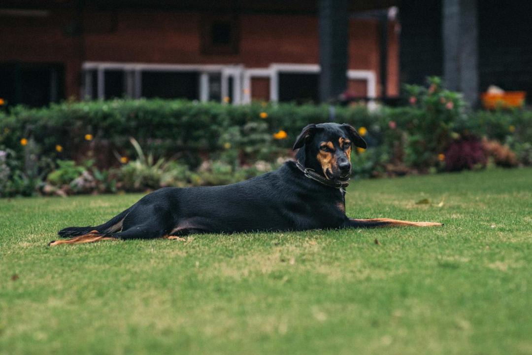 Photo of Others in Mysore