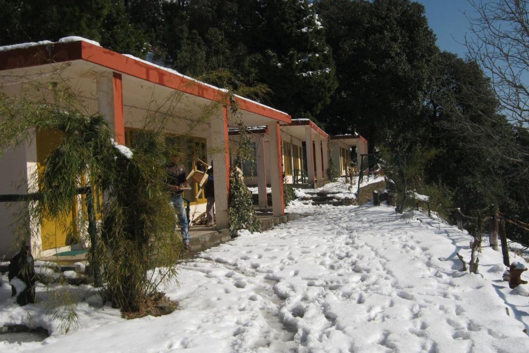Photo of Buildings in Pangot