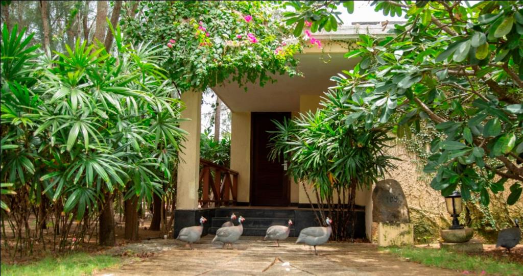 Photo of Others in Manjakuppam