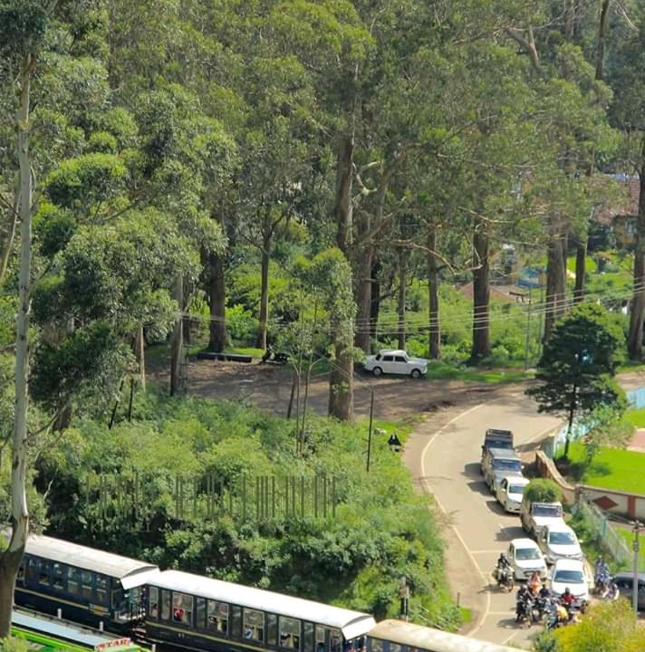 Photo of Others in Ooty