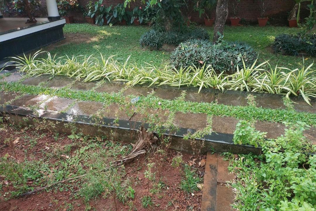 Photo of Others in Thrissur