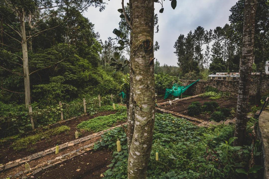 Photo of Others in Yercaud