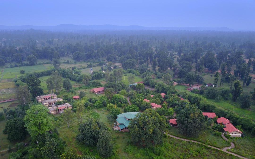 Photo of Others in Tala
