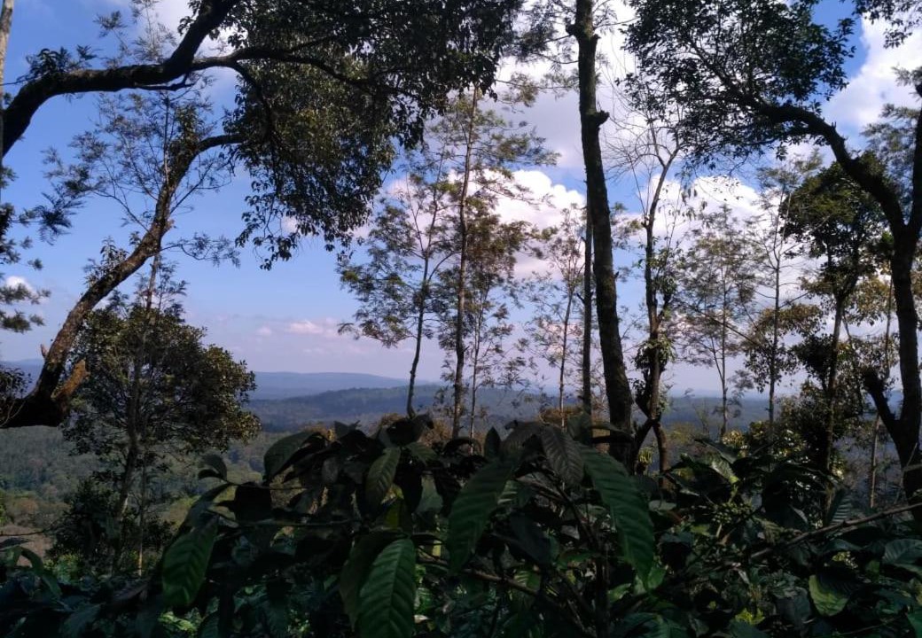 Photo of Others in Somvarpet