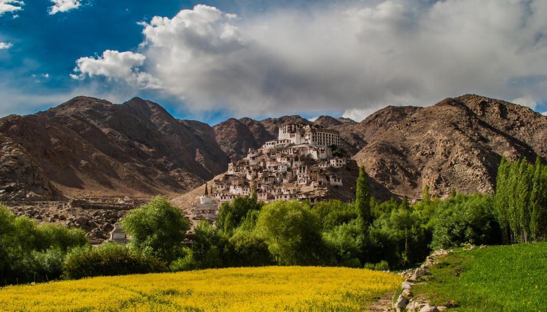 Photo of Others in Leh