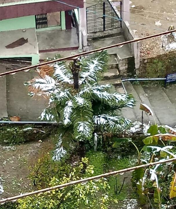 Photo of Others in Almora