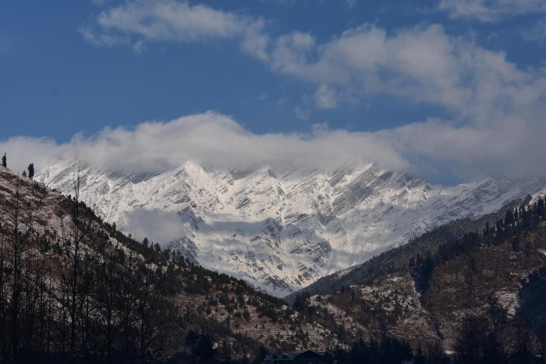 Photo of Others in Manali