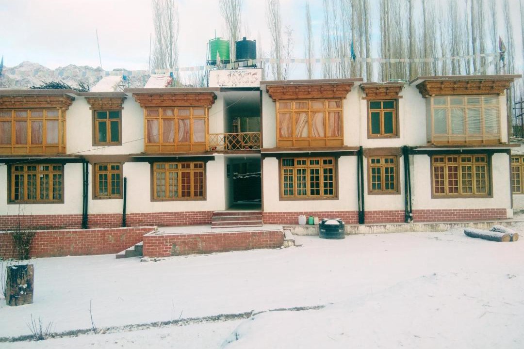 Photo of Others in Leh