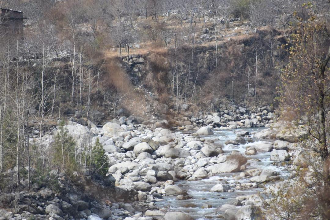 Photo of Others in Manali