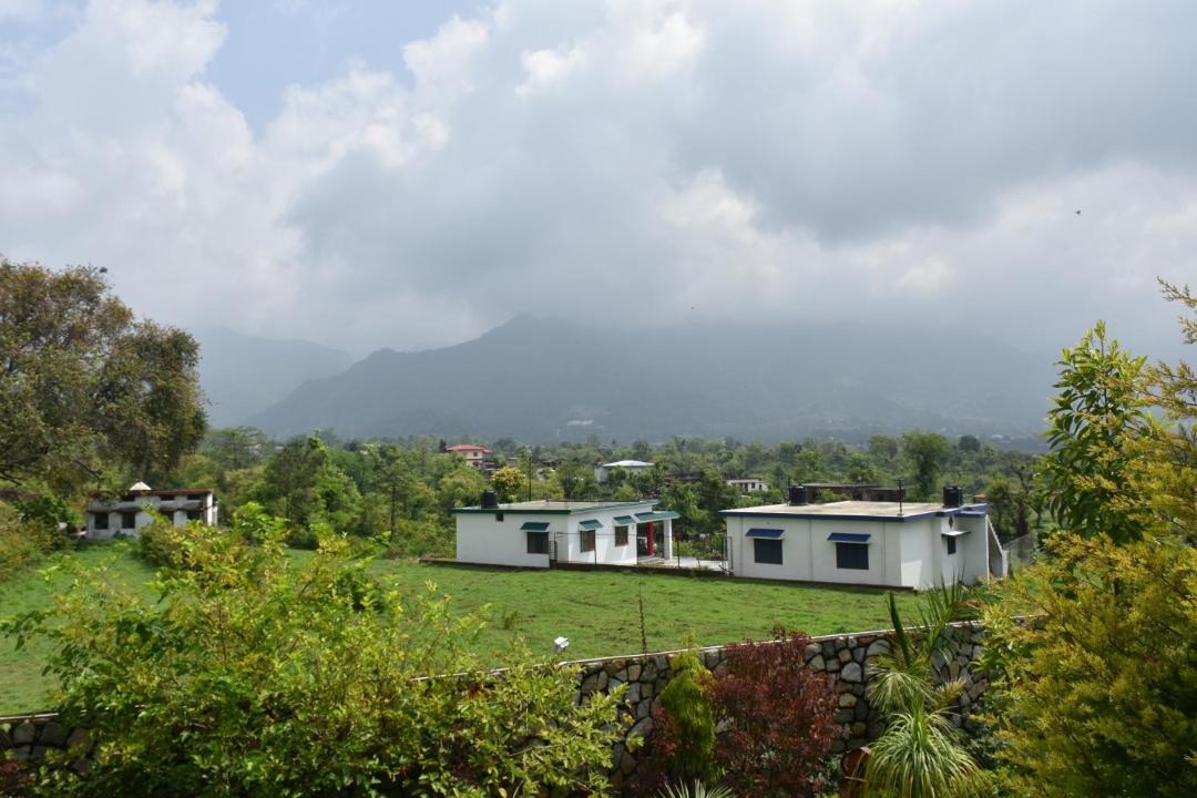 Photo of Others in Bigha