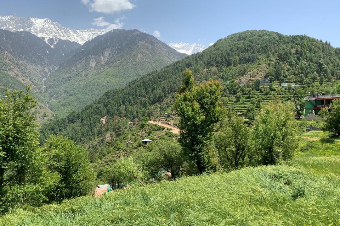 Photo of Others in Naddi