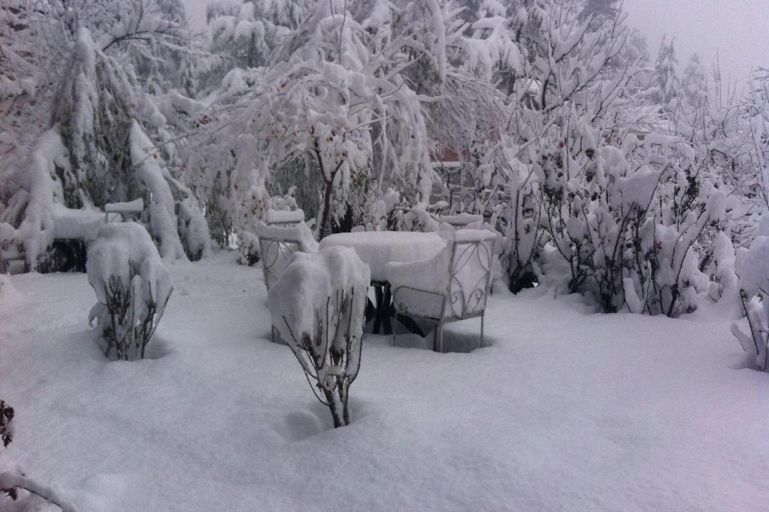 Photo of Others in Old Manali