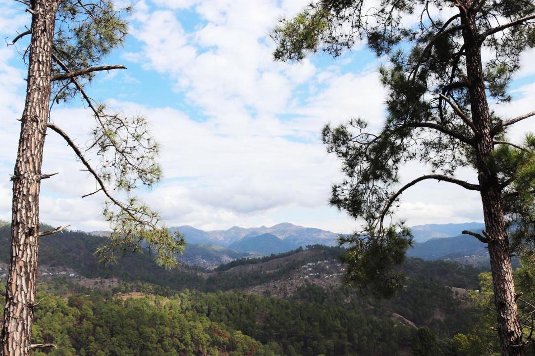 Photo of Others in Almora