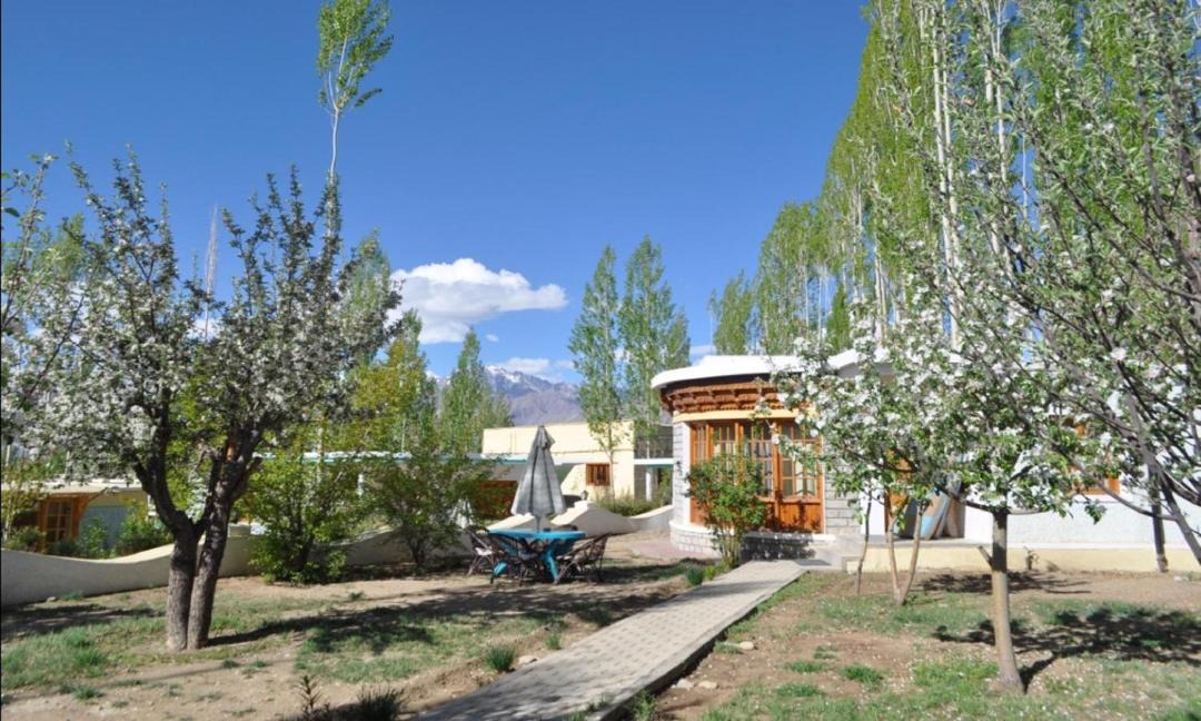 Photo of Others in Leh