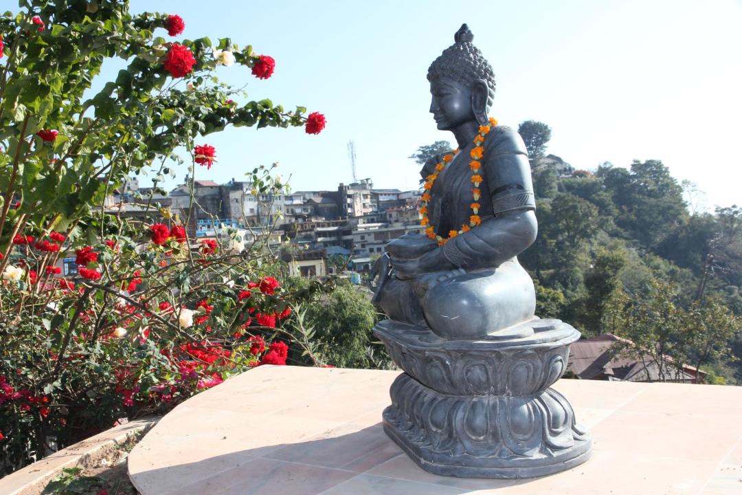Photo of Others in Dharamshala