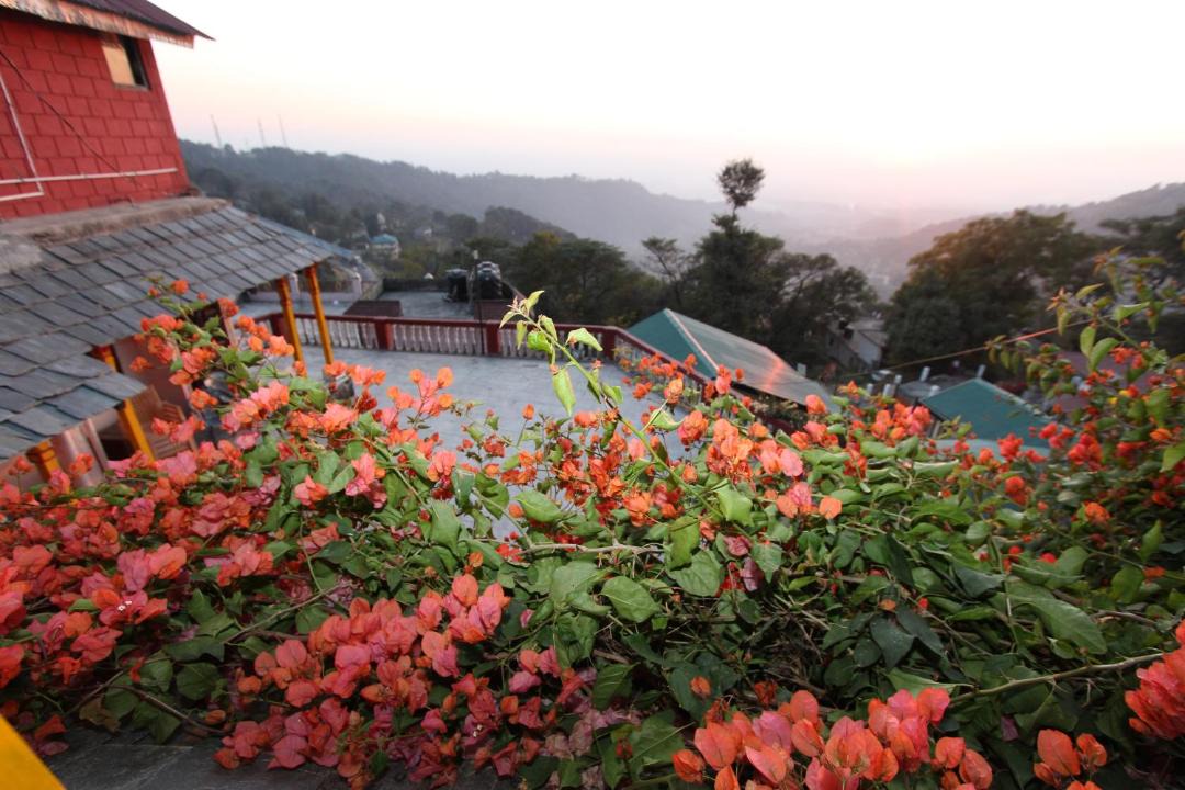 Photo of Others in Dharamshala