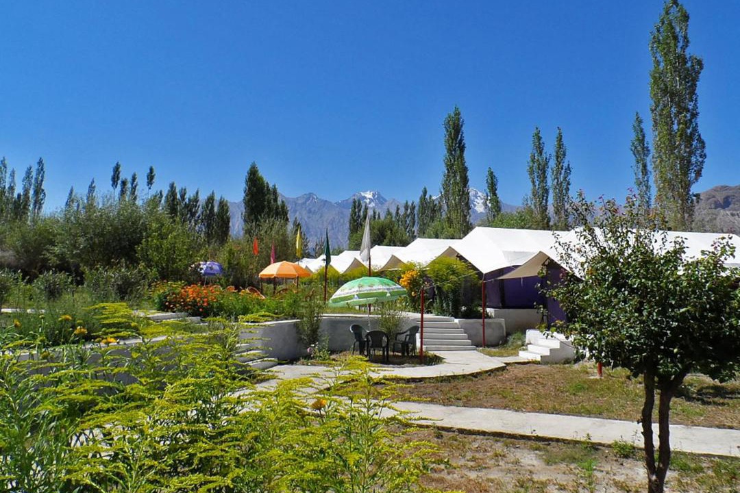 Photo of Others in Nubra Valley