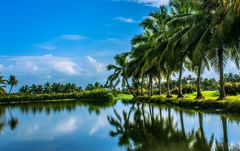 Photo of Others in Alappuzha
