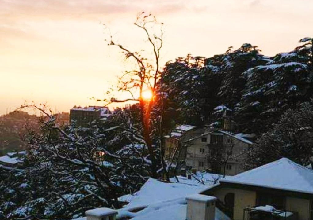 Photo of Others in Shimla