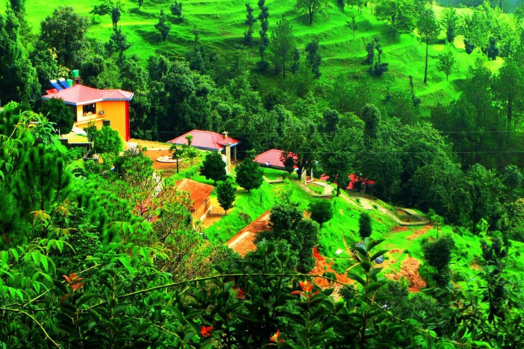 Photo of Others in Kausani
