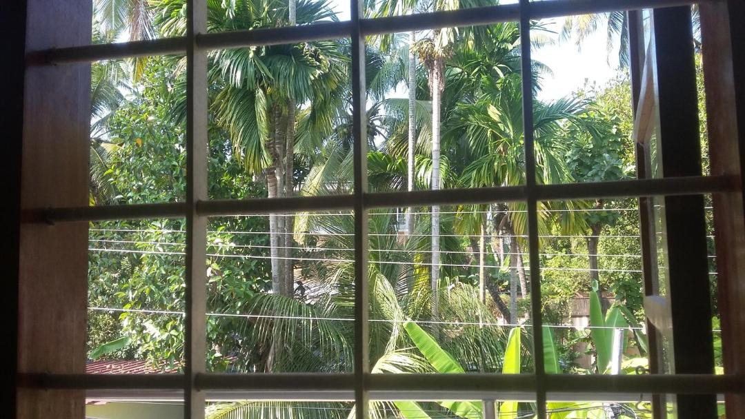 Photo of Others in Fort Kochi