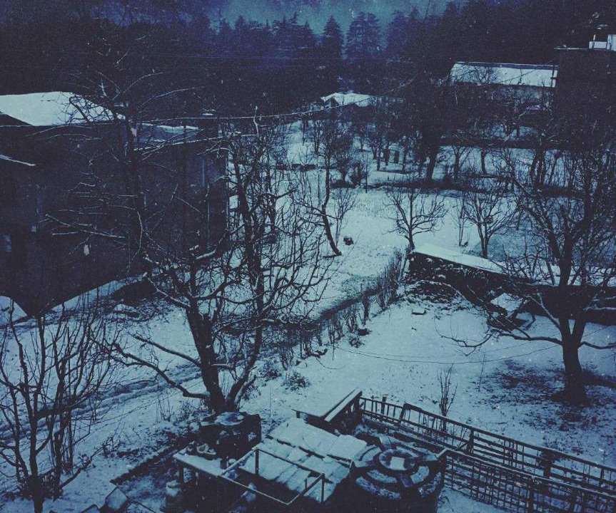 Photo of Others in Old Manali