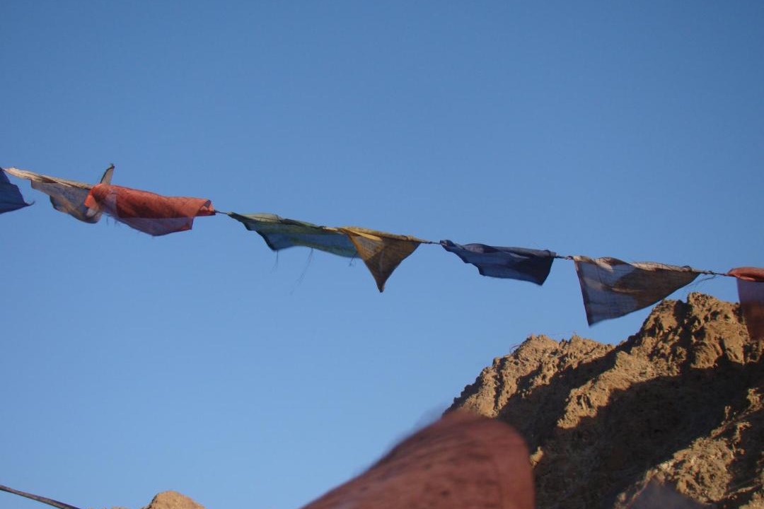 Photo of Others in Leh