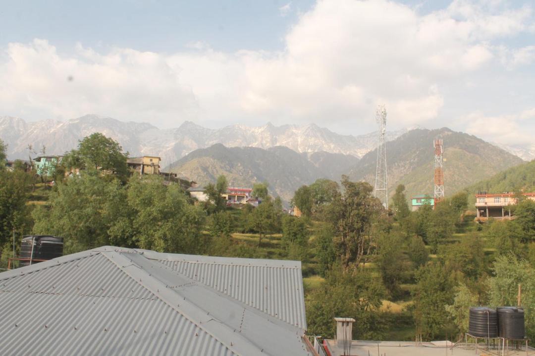 Photo of Others in Naddi