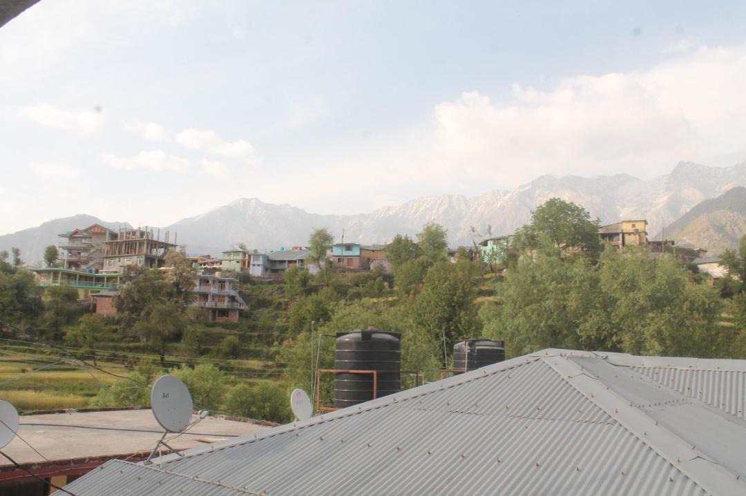 Photo of Others in Naddi