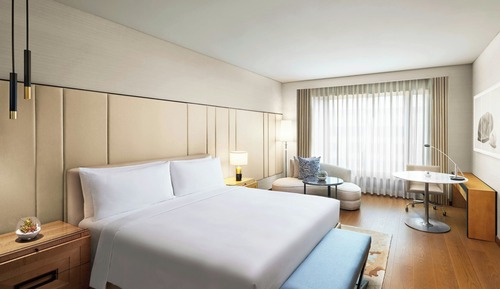 Room, 1 King Bed