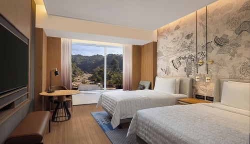 Deluxe Room, 2 Queen Beds, Mountain View