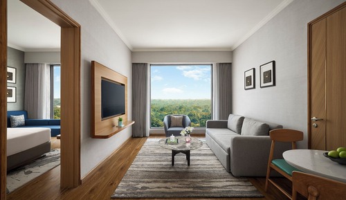 Suite, 1 King Bed with Sofa bed